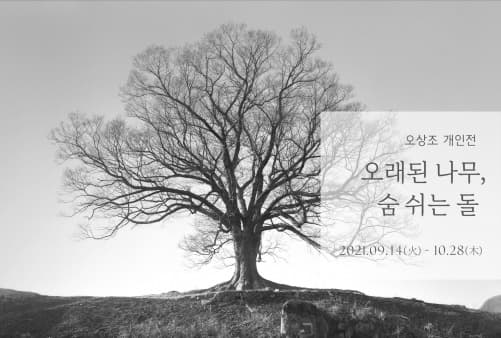 오상조 : 오래된 나무, 숨 쉬는 돌 