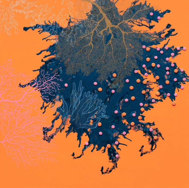 뿌리 : 산호초  ROOT : CORAL REEF · 캔버스 위에 아크릴, 콜라주 · 91x91cm · 2021 (이미지 제공 = 스페이스 엄) · 뿌리 : 산호초  ROOT : CORAL REEF · mixed media