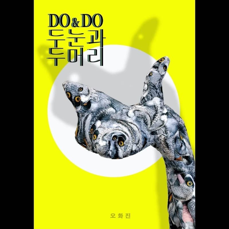 오화진 : DO&DO 두눈과 두머리 포스터
