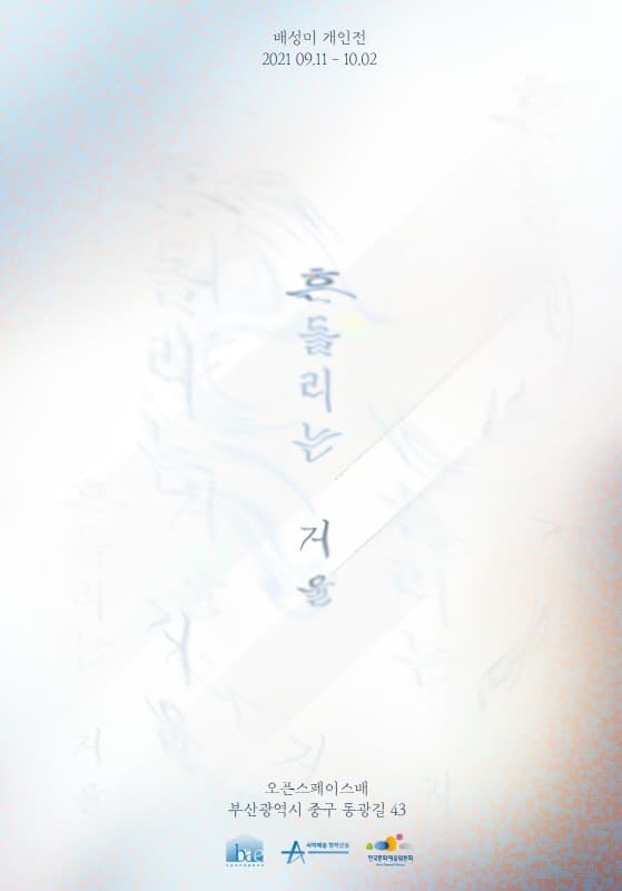 배성미 : 흔들리는 거울