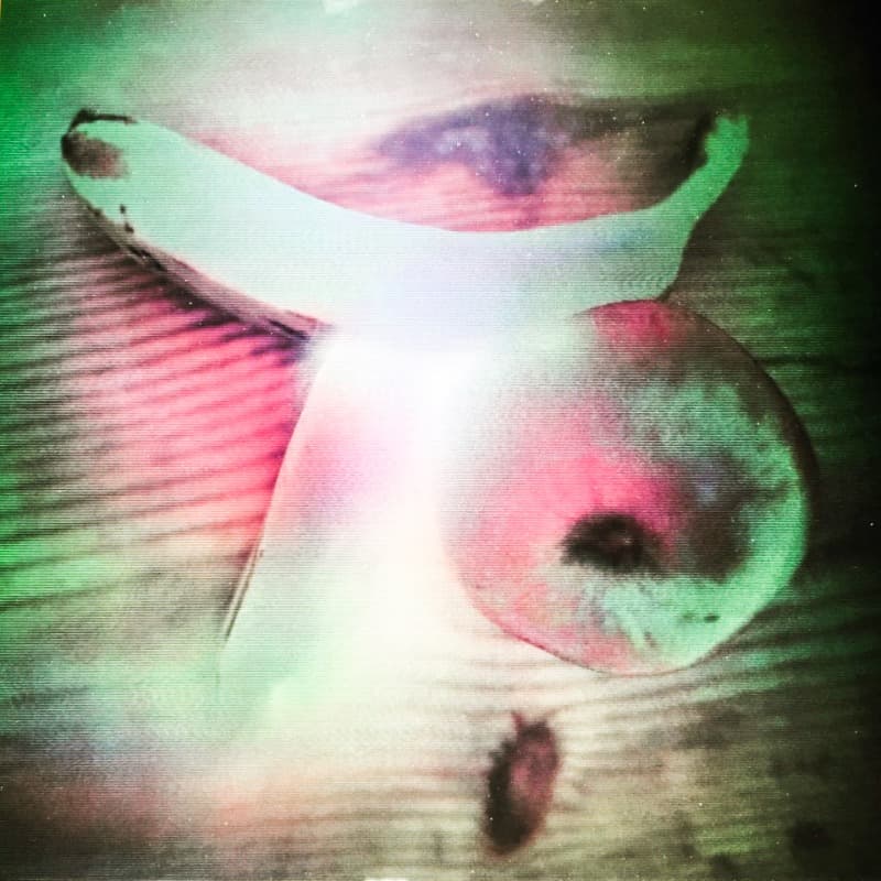 the spectrum · Digital holography · 45cm x 45cm · 2017 (이미지 제공 = 갤러리 너트) · the spectrum · Digital holography