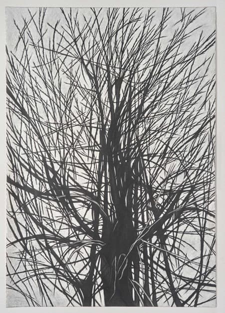 There is a Crack in Everything #2 · 코튼 페이퍼에 연필 · 100 x 71 cm · 2021 (이미지 제공 = 원앤제이갤러리) · There is a Crack in Everything #2
