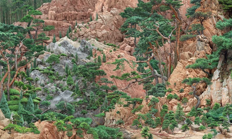 잘 다듬어진 유년 · C-print · 120 x 200 cm · 2021 (이미지 제공 = 아라리오 갤러리) · Cultivated Childhood · C-print