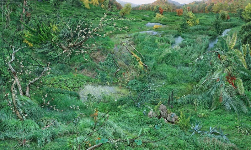 보통의 느슨한 관계망 · C-print · 172 x 287 cm · 2021 (이미지 제공 = 아라리오 갤러리) · Ordinary Network · C-print
