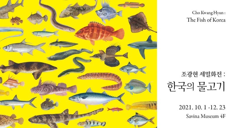 조광현 세밀화전 : 한국의 물고기 포스터