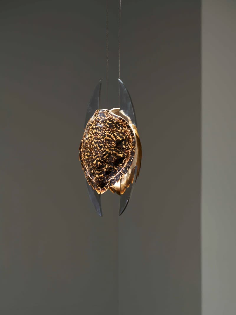 이현우, untitled · Turtle’s Back, Aluminum, Stainless Steel Computed Bolt, Stainless Steel Nut, Stainless Steel Plate · 33x40x75cm · 2021 (이미지 제공 = 유아트스페이스) · Hyunwoo Lee, untitled · Turtle’s Back, Aluminum, Stainless Steel Computed Bolt, Stainless Steel Nut, Sta