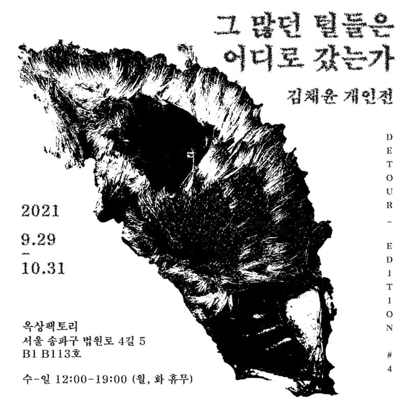 김채윤 : 그 많던 털들은 어디로 갔는가 포스터