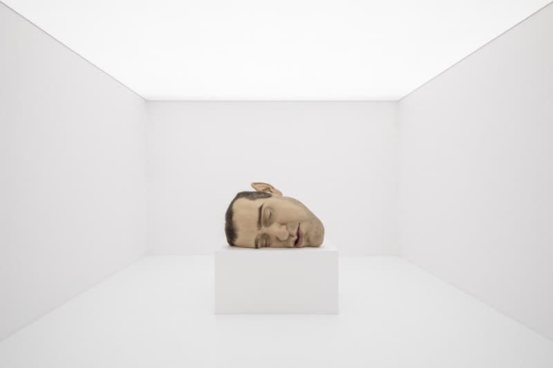 론 뮤익, <마스크 Ⅱ> · 혼합재료 · 77 x 118 x 85 cm · 2002 개인 소장 © Ron Mueck · Ron Mueck, Mask Ⅱ · Mixed media