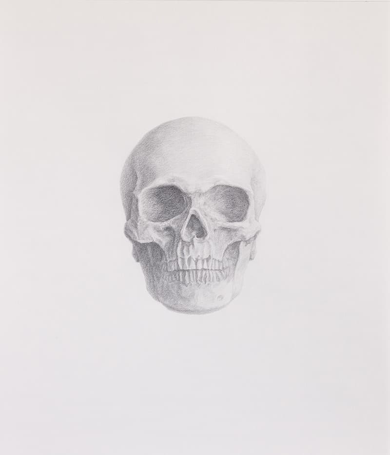 Untitled Portrait · pencil on paper · 52.5x45.7cm · 2021 (출처= 드로잉룸) · Untitled Portrait · pencil on paper