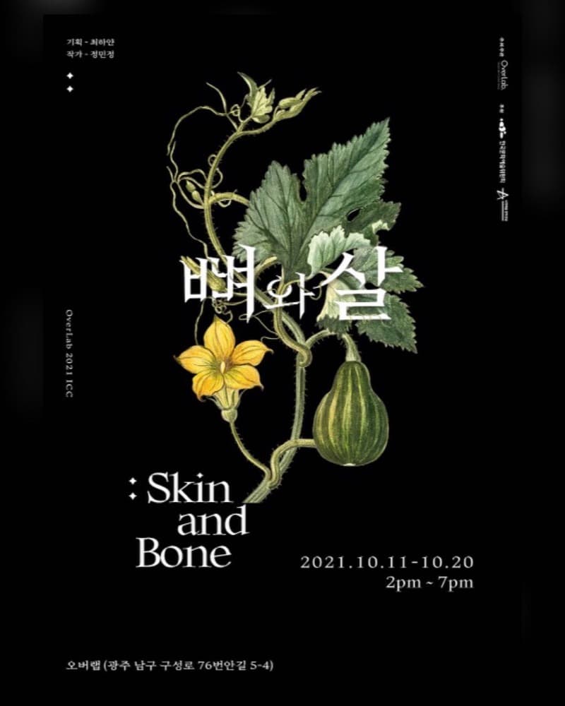 정민정 : 뼈와 살