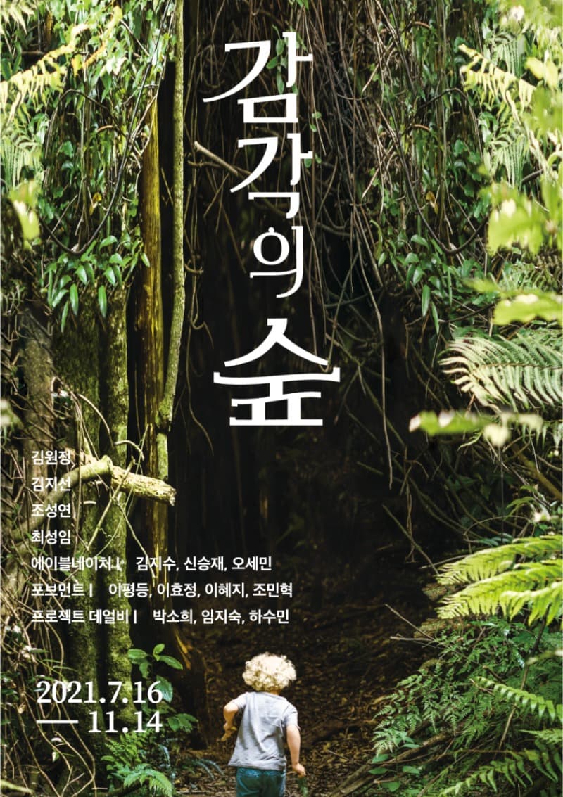 감각의 숲
