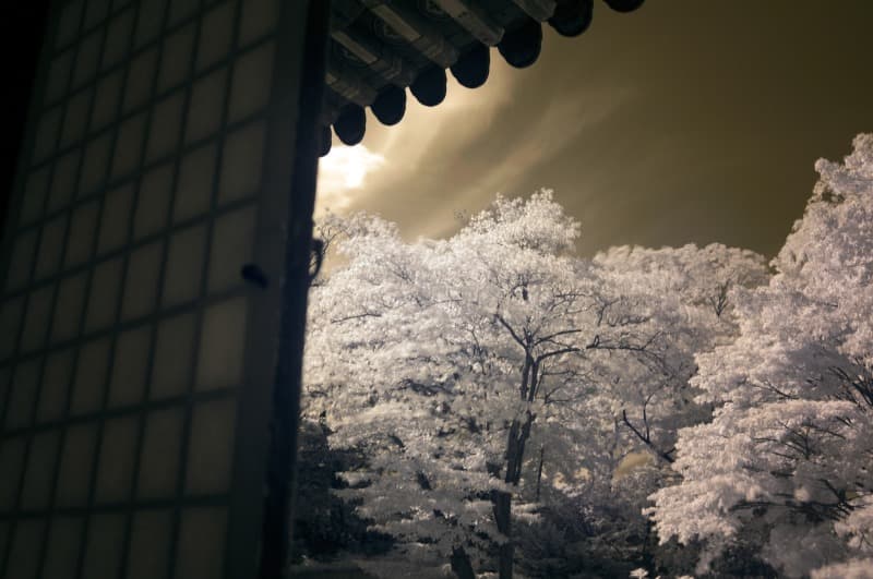 송광찬 : Between space-time