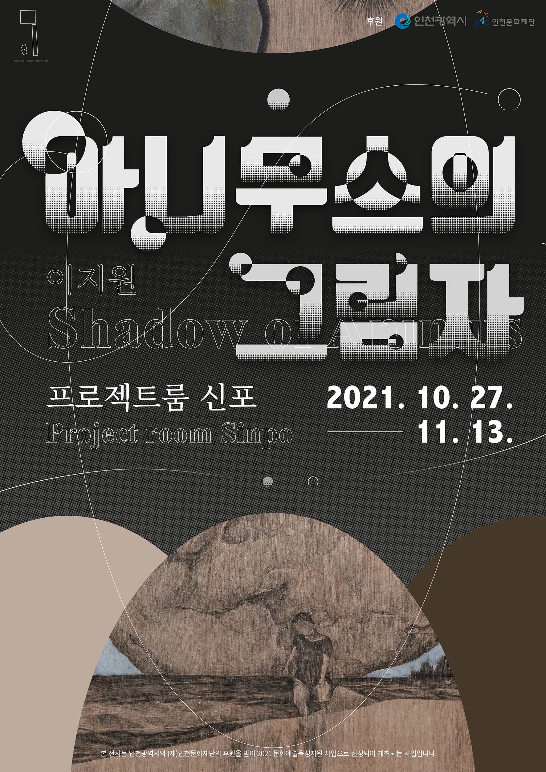 아니무스의 그림자 포스터