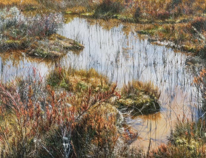 Untitled 4739 · Oil on canvas · 112.1 x 145.5cm · 2020 (출처= 조현화랑) · Untitled 4739 · Oil on canvas