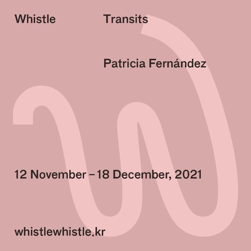 Patricia Fernández : Transits 포스터