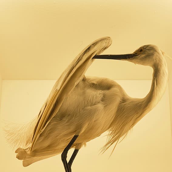 정경자, Ambiguous02 · 2021 (이미지 제공 = KP Gallery)