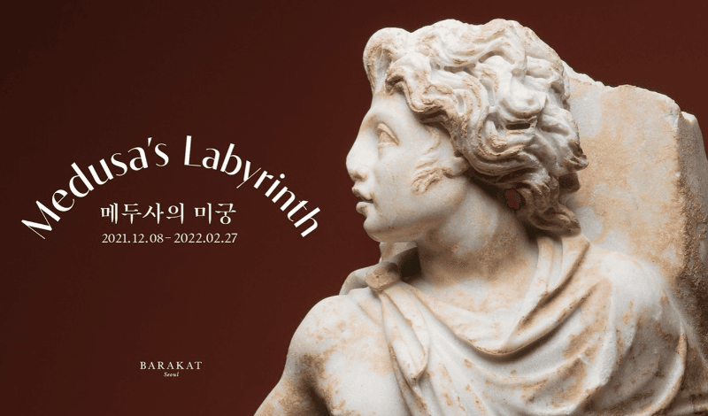 메두사의 미궁