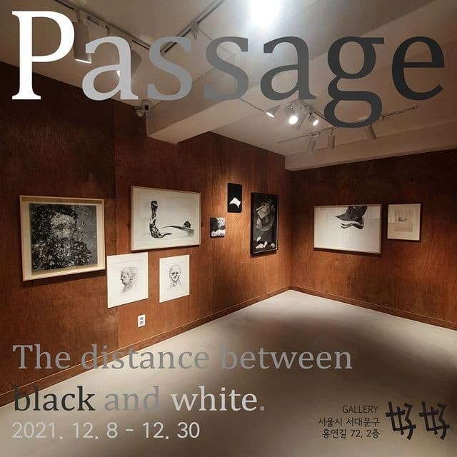 Passage - the distance between black and white 포스터