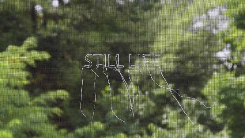 로와정, 스틸 라이프 · 2017 - 2019 (출처=울산시립미술관) · RohwaJeong, Still Life