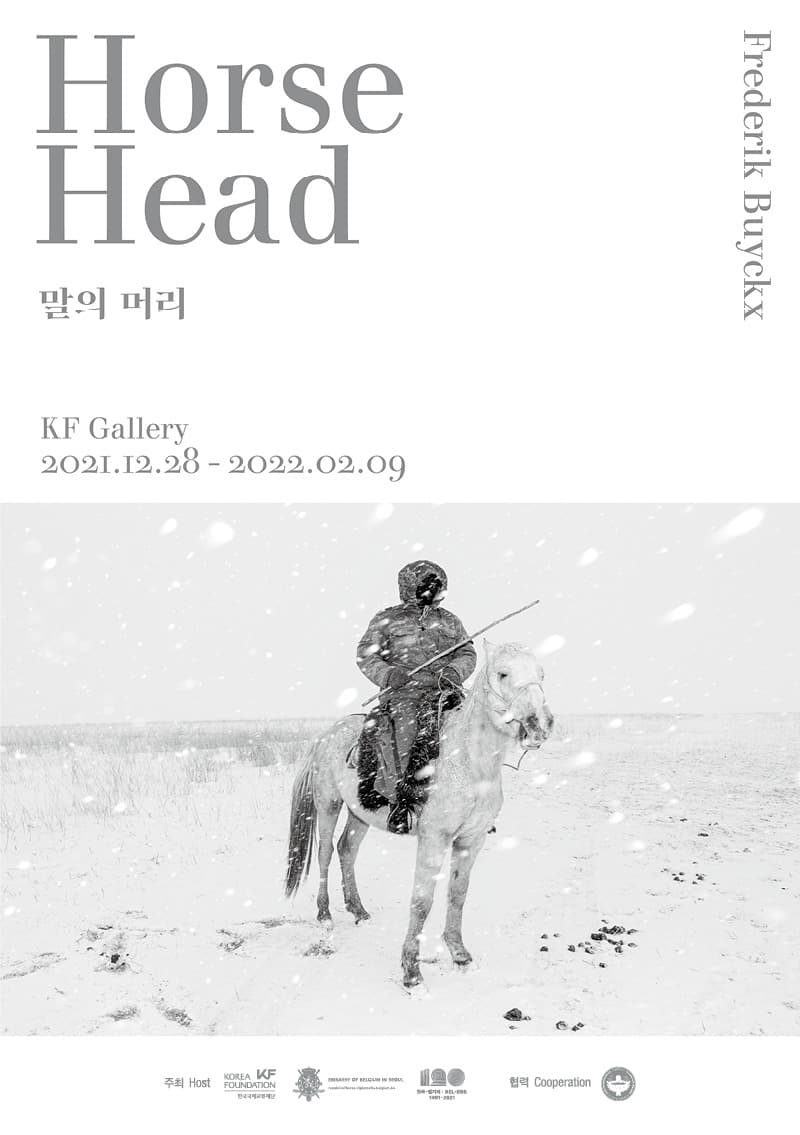 프레데릭 벅스 : 말의 머리