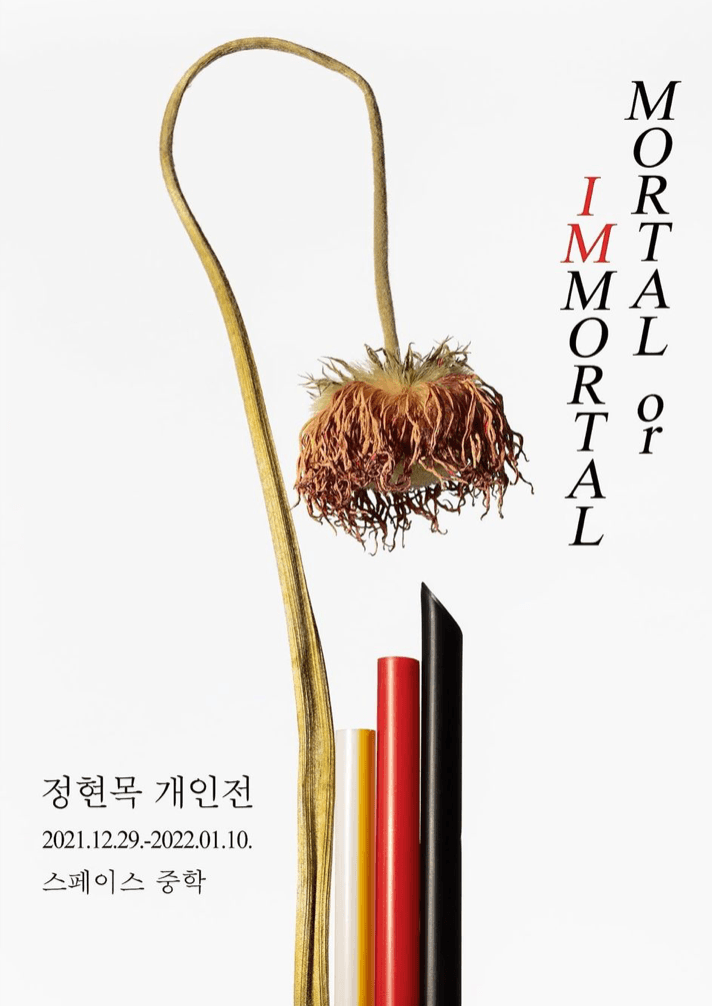 정현목 : Mortal or Immortal