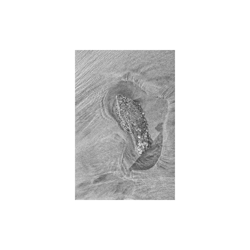 이지혜 카이로스의 삶 #7 · Pigment Inkjet Print · 45x45cm · 2021 (이미지 제공 = 오혜련) · Lee JeeHye Life of Kairos #7 · Pigment Inkjet Print