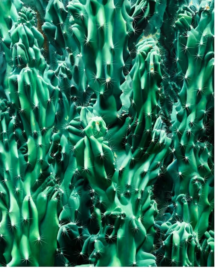 이광호, Untitled 1327 · 캔버스에 유채 · 162.1 x 130.3cm · 2018 (출처=롯데갤러리) · Untitled 1327 · Oil on canvas