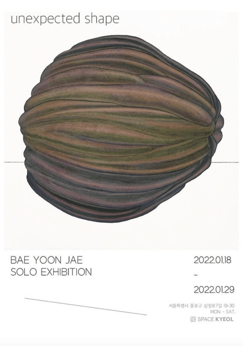 배윤재 : Unexpected shape