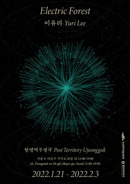 이유리 : Electric Forest 포스터