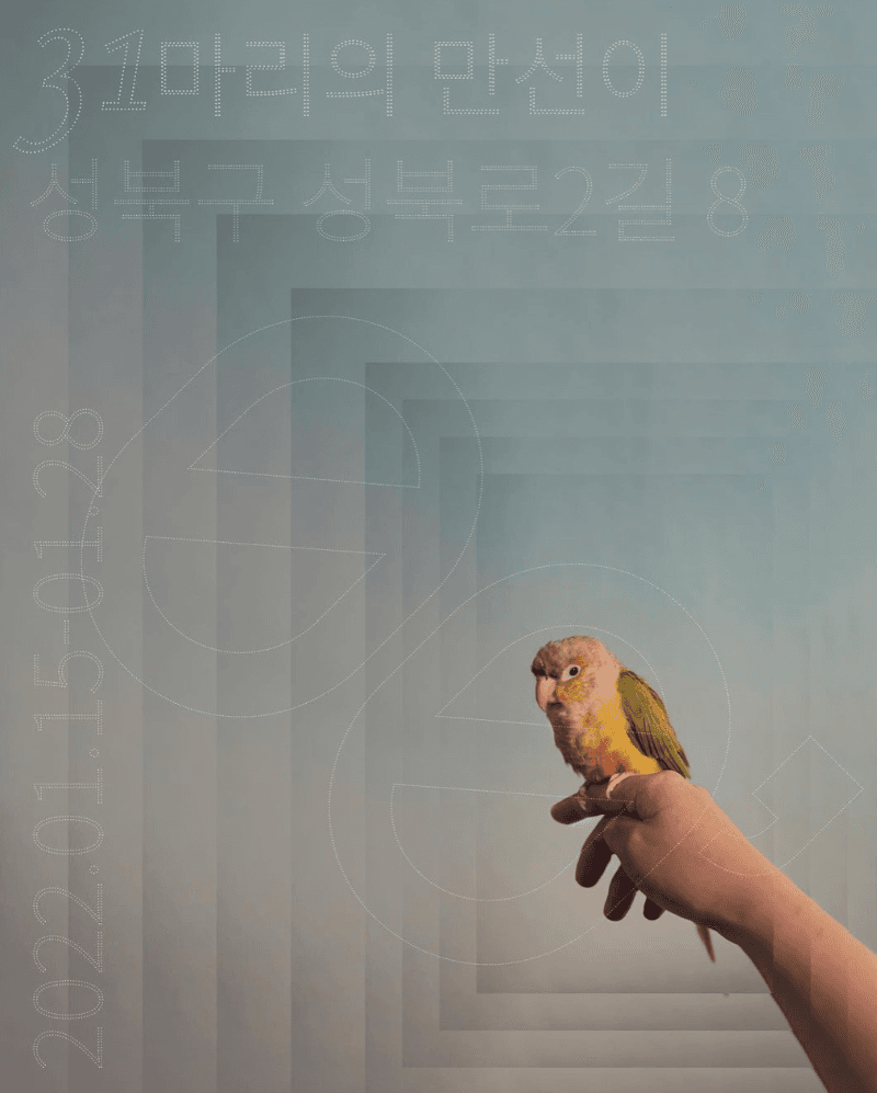 31마리 만선이 포스터