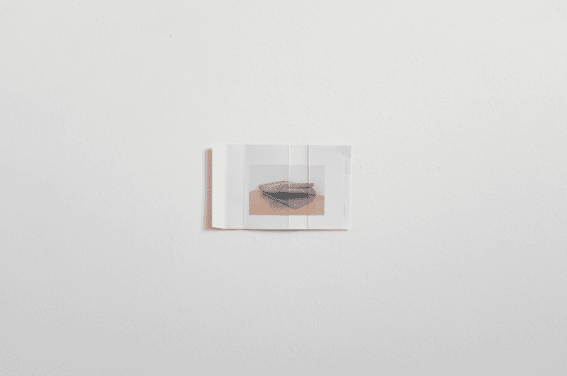 (이미지 제공 = WWWSPACE)