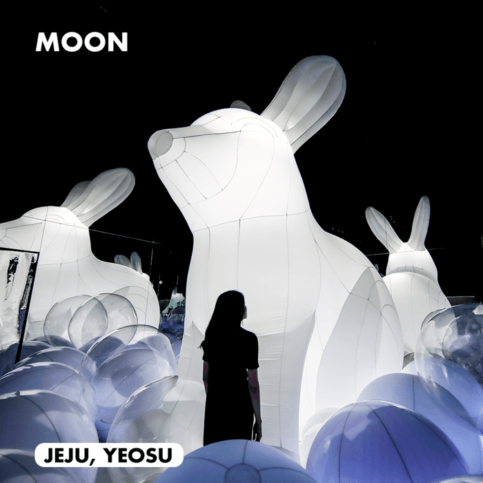 (Image Source=ARTE MUSEUM JEJU)