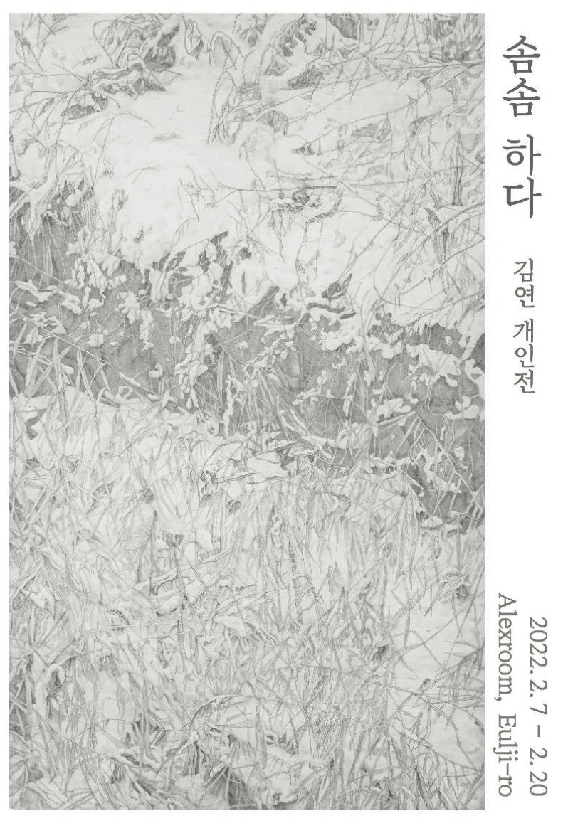 김연 : 솜솜하다