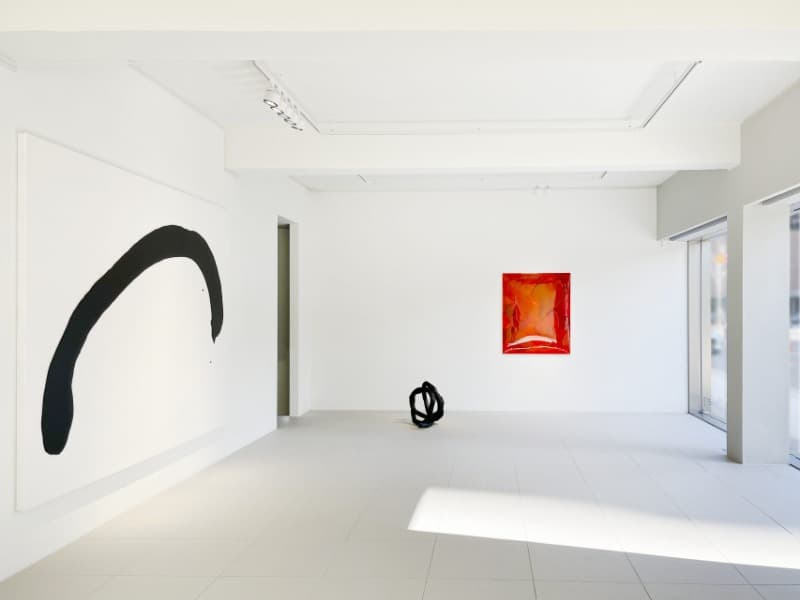 THE COLLECTIONS