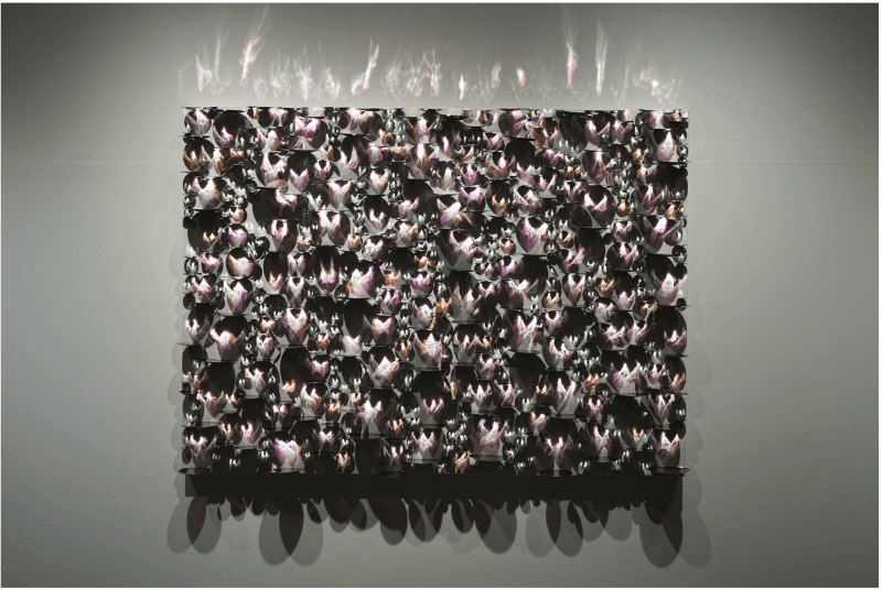 권용래, Ficus Benjamina – Light · Stainless steel on canvas · Stainless steel on canvas · 2019 (이미지출처 = RNL갤러리) · Kwon Yong Rae, Ficus Benjamina – Light · Stainless steel on canvas