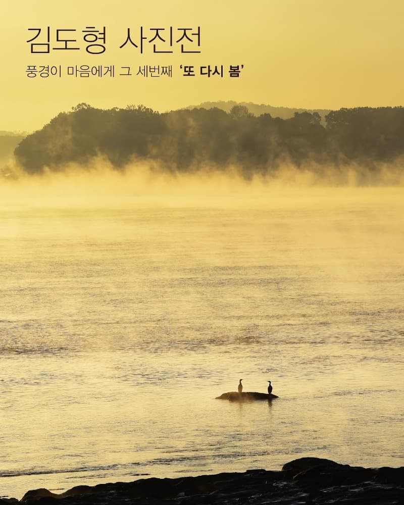 김도형 : 풍경이 마음에게 그 세번째 '또 다시 봄'