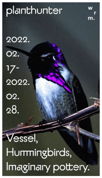 planthunter vessel, hummingbirds, imaginary pottery.