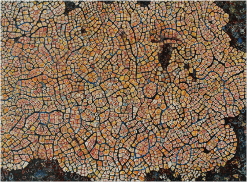 김순선, Lichen Variation 남해 · Acrylic and Sand on Canvas · 65 x 91cm · 2020 (이미지출처 = 모리스갤러리)