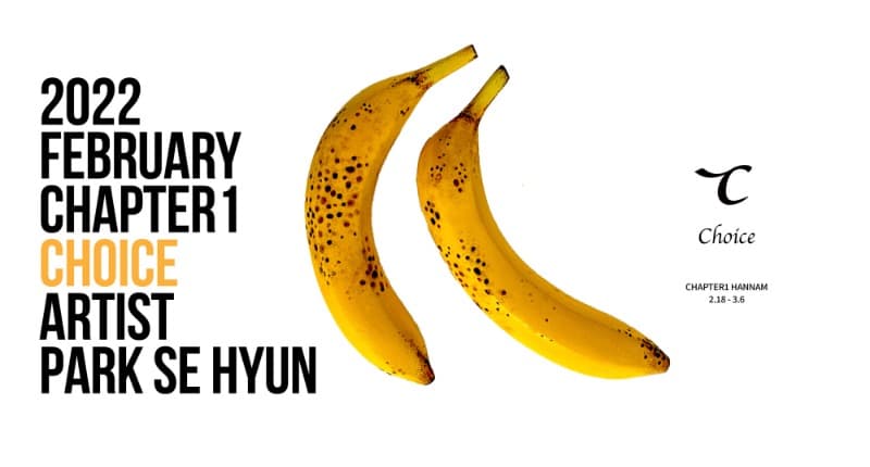 박세현 개인전