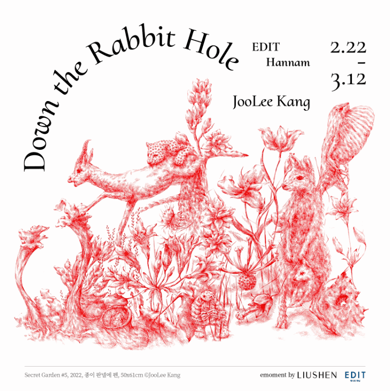 강주리 : Down the Rabbit Hole