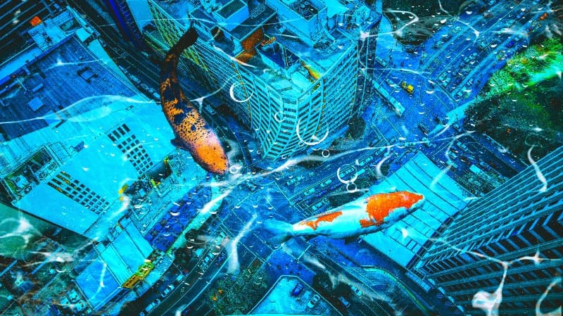 NAKTA, change_ · digital · 5472 x 3072 px · 2021 (제공=갤러리너트) · NAKTA, change_ · digital