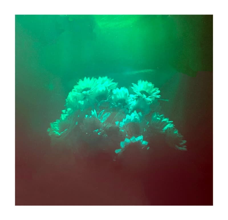 Jung Wuk Kim, illussion · optical holography · 45cm x 45cm · 2021 (제공=갤러리너트) · Jung Wuk Kim, illussion · optical holography