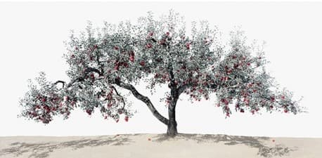 김광수, 사과나무 · Pigment Print · 34x59 cm · 2018 (이미지출처 = art sapce j)