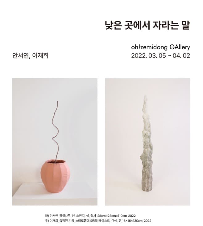 안서연, 이재희 : 낮은 곳에서 자라는 말