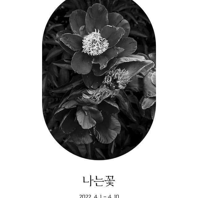박정임 : 나는꽃
