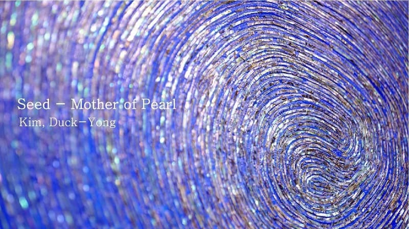 김덕용 : Seed – Mother of pearl 포스터