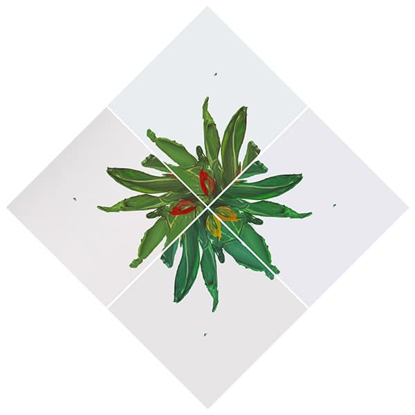 Plant · Oil on canvas · 90x90cm · 2021 (이미지출처 = 부산프랑스문화원)