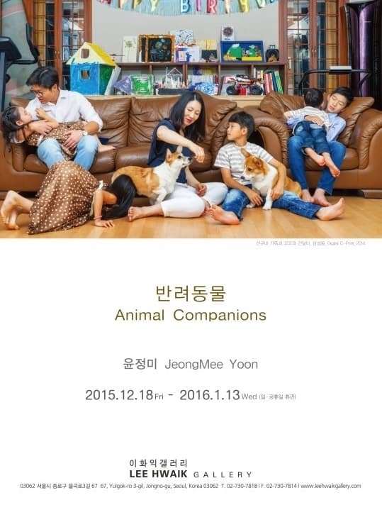 윤정미-반려동물 Animal Companions展