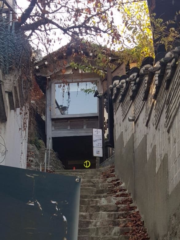 갤러리 지오타