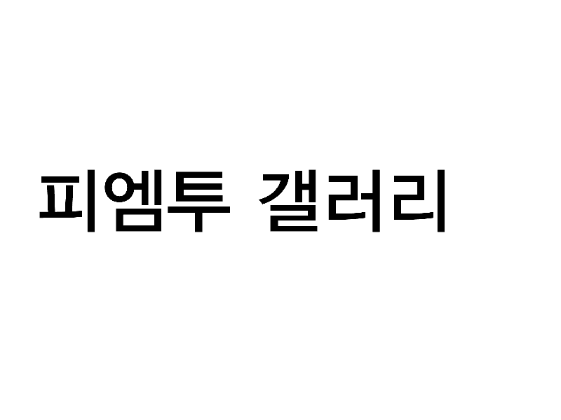 피엠투갤러리